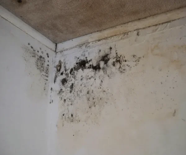 Comprehensive Repairs